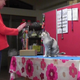 Ebisu the cat and her owner Fumi Higaki